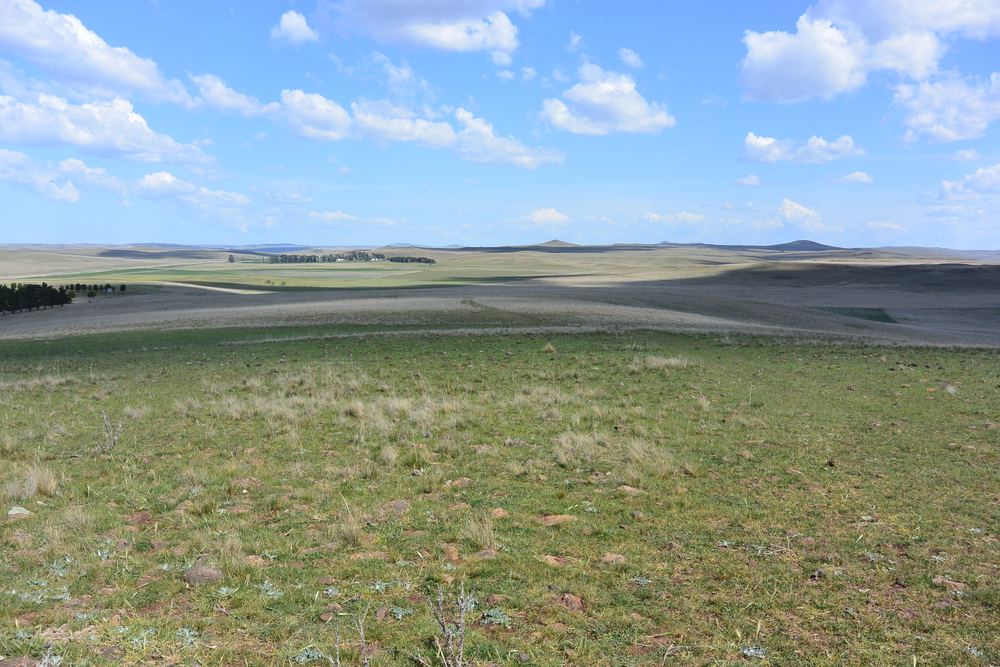 Wide view over gently undulating cleared Monaro grazing country to a distant ridgeline.