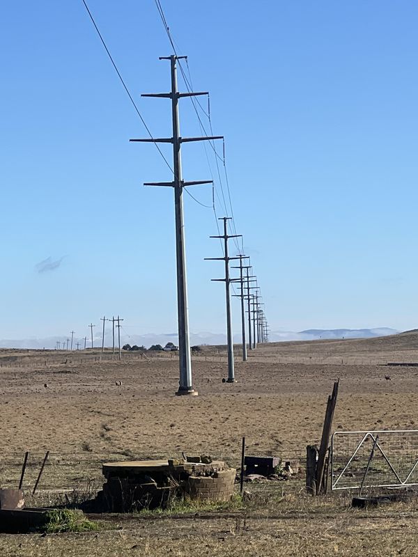 A line of galvanised steel poles receding in a straight line across open grazing country, with a separate line of smaller wooden poles on the horizon.