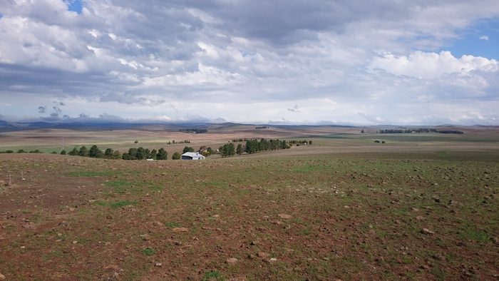 Elevated stony rise looking over a farmstead and shelter belt to the wider Monaro plain under cloud.