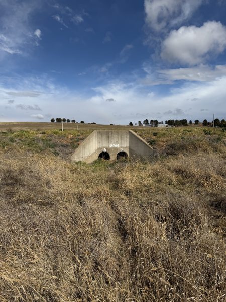 A concrete twin-pipe culvert headwall in a grassed drainage line, with the highway embankment and a farmstead beyond.