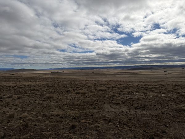 Flat to gently undulating open grazing land with sparse tussock and scattered stones, looking to a distant range under a broken cloud sky.